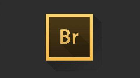 adobe bridge cc 2017中文版下载