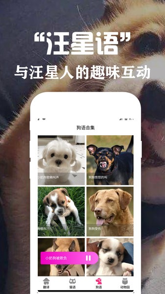 狗语翻译交流器软件截图2