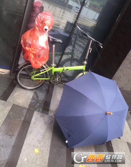 柯基雨衣图片下载