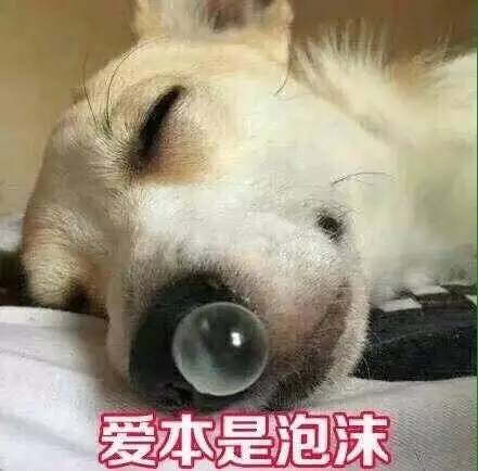 可爱动物表情包