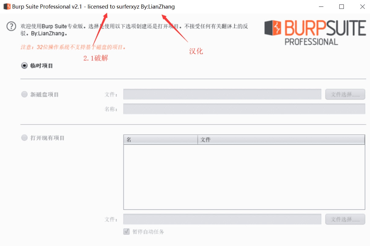 Burp Suite Professional汉化免费版下载