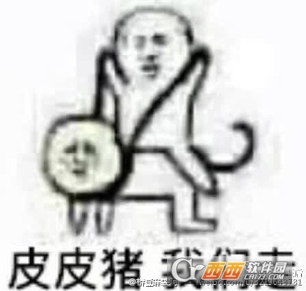 皮皮猪我们走图片表情包下载