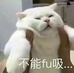 猫咪带字表情包大全