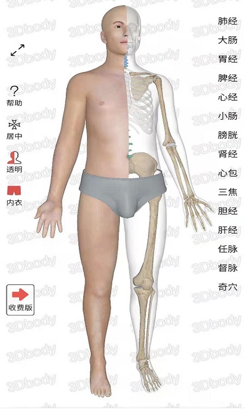 3Dbody经络穴位软件截图2