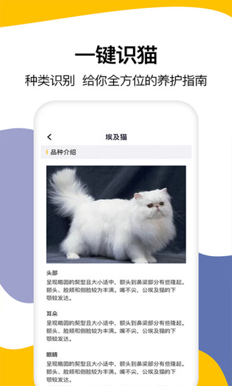 猫语翻译软件免费版软件截图3