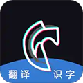 灰度拍照识字