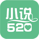 小说520