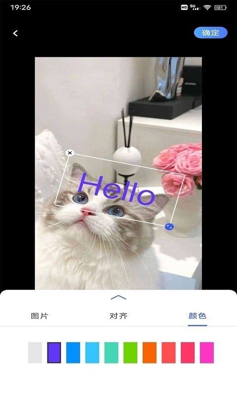 小猪翻译器软件截图1