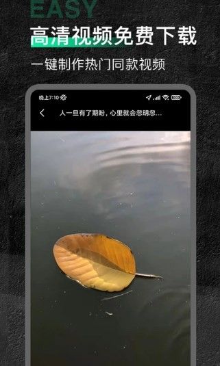 今日素材软件截图0