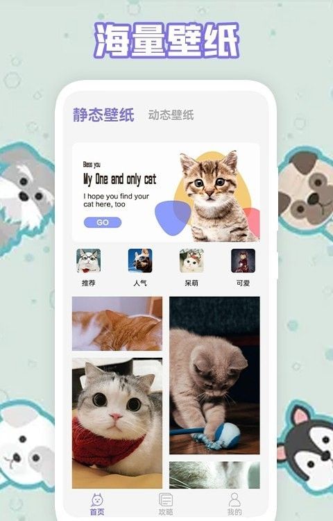 多多养猫助手软件截图0