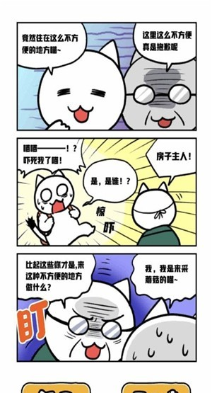 白猫和神秘财宝软件截图2