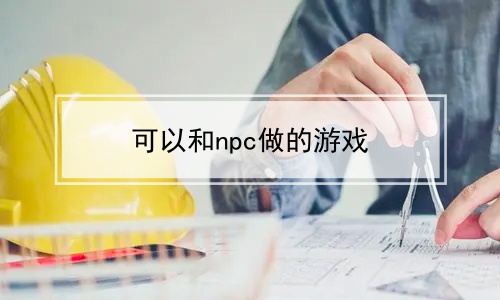 可以和npc做的游戏