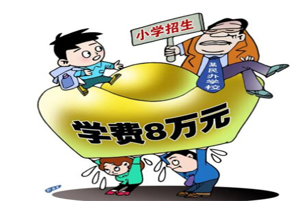 为什么不建议孩子去私立学校?四点因素(认真考虑)