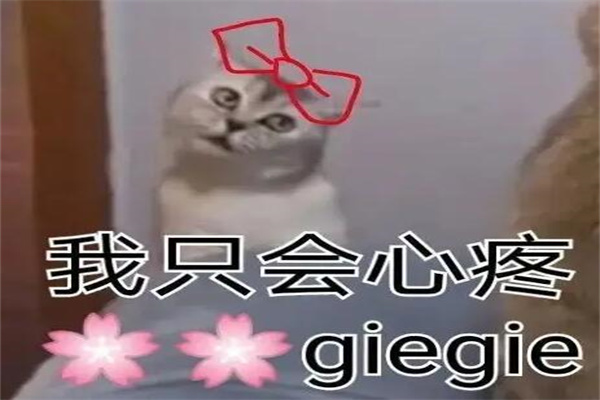 GIEGIE是什么梗?谐音梗(哥哥的意思)