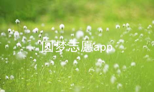 圆梦志愿app