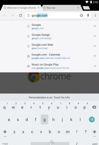 Chrome Dev软件截图2