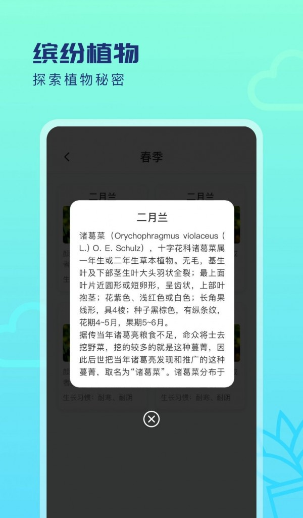 缤纷四季软件截图1