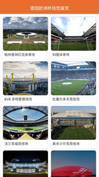 欧洲杯2024软件截图1