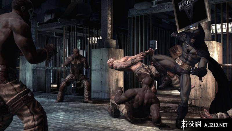 蝙蝠侠：阿甘疯人院年度版（Batman: Arkham Asylum Game of the Year Edition）v1.1汉化-年度版修复补丁v2下载