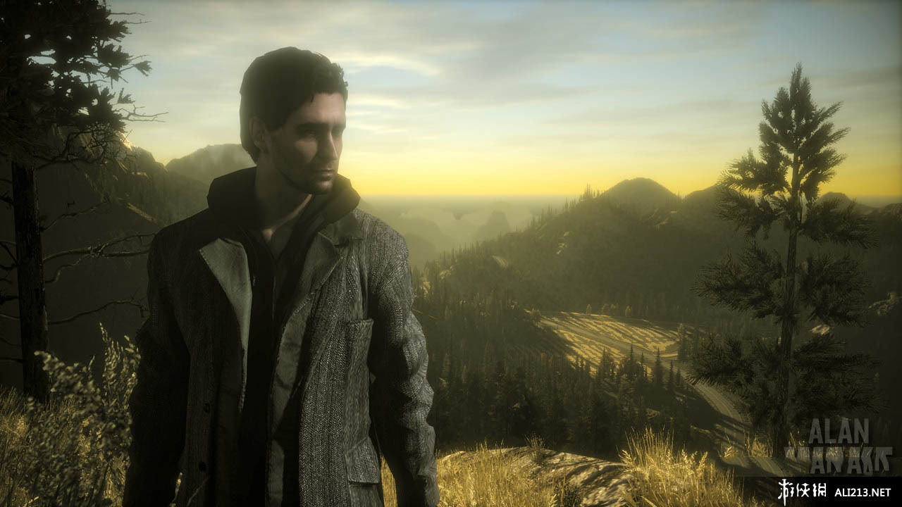 心灵杀手/阿兰醒醒（Alan Wake）v1.02.16.4261十二项修改器下载