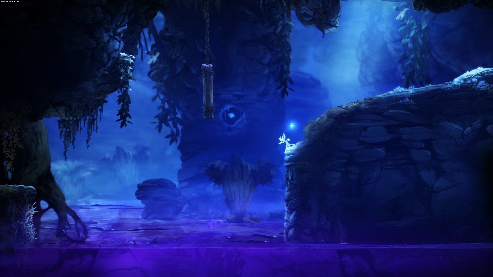 奥日与迷失森林：终极版（Ori and the Blind Forest）v1.0十三项修改器风灵月影版下载