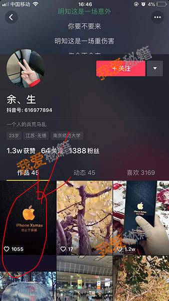 iphone Xsmax岂止于壁纸分享[多图]