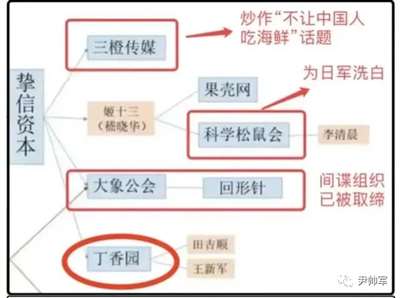 冯大辉 园  医生被官媒批评 园CTO冯大辉