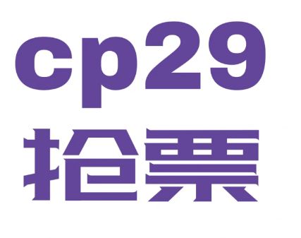 cp29买票需要身份证吗