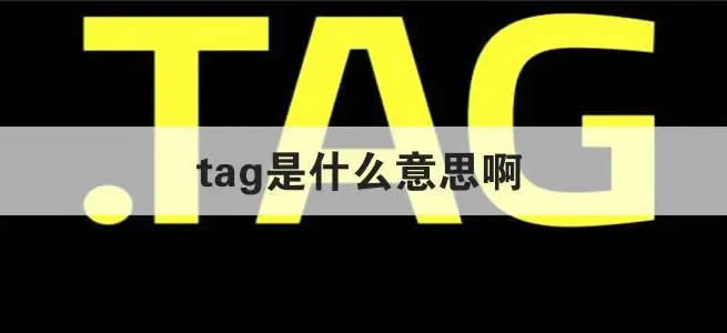 顶tag怎么顶 顶他个肺是什么意思