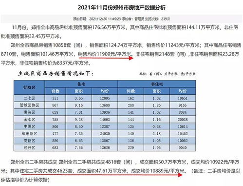 stc中本聪岛能涨到100元吗