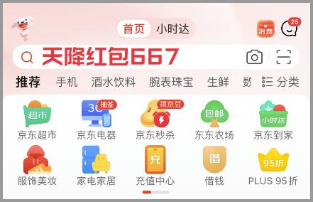 2024京东有优惠吗_过年京东会降价吗