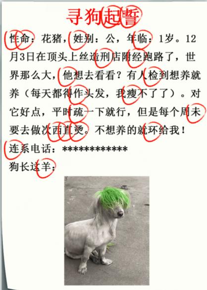 《疯狂梗传》寻狗启示录找出错别字通关攻略