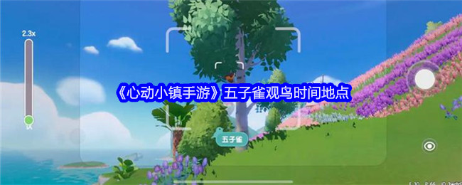 《心动小镇手游》五子雀观鸟时间地点