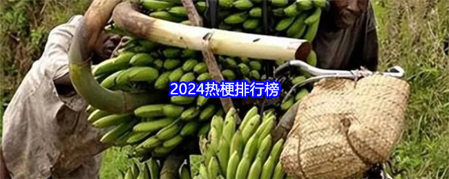 2024热梗排行榜