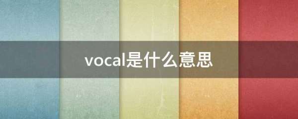 vocal是什么梗 vocal是什么意思