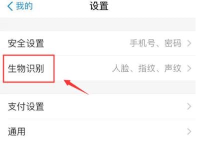 支付宝刷脸支付怎么开 支付宝刷脸支付在哪里设置