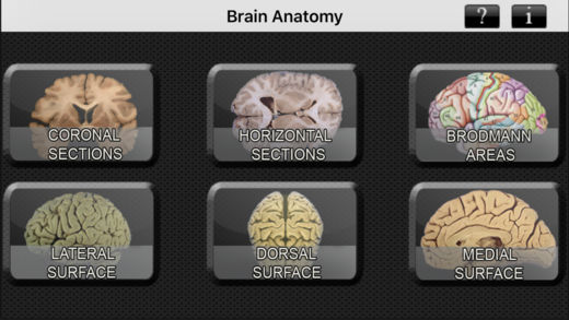 Brain Anatomy软件截图0