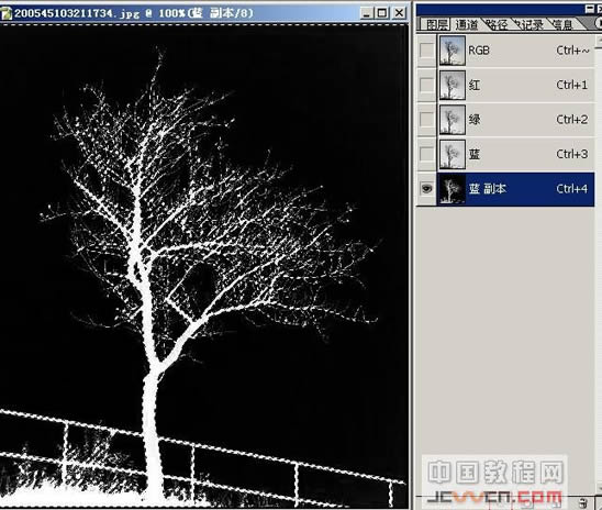 photoshop抠图教程-树枝抠图方法