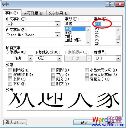 Word2003放大字体的三种方法