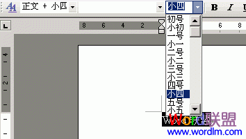 Word2003字体大小设置