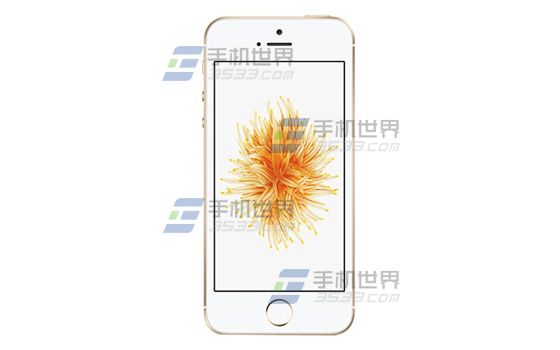 苹果iPhoneSE应用访问限制怎么设置