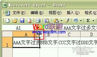 如何设置Excel2003单元格输入文字后自动调整合适行高和列宽？