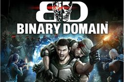 二进制领域(Binary Domain)