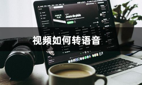 语音王app