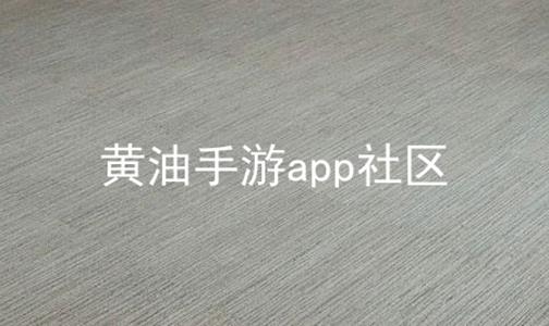 手游app社区