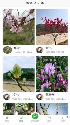 爱鉴花软件截图2