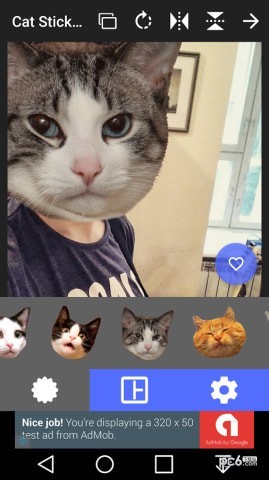 猫头贴纸软件截图1