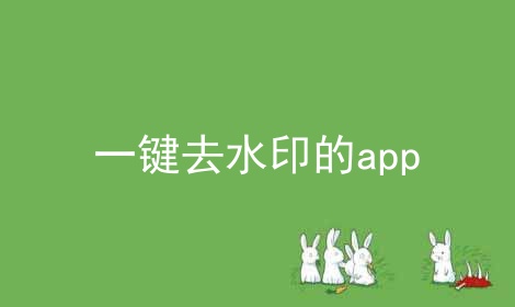 一键去水印的app