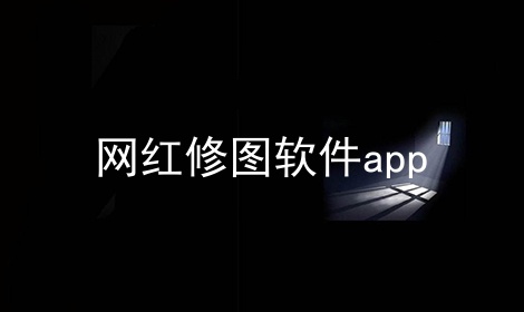 网红修图软件app