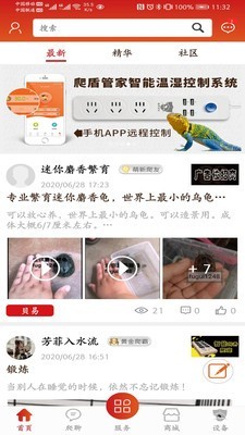 羽鳞军软件截图1